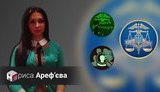 арефьева