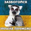 Олег Андрощук #393089