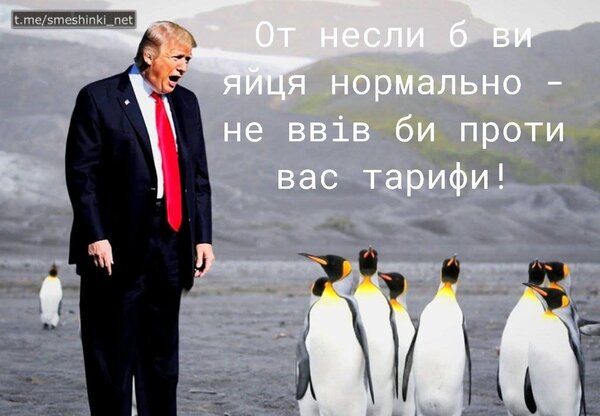 фотожаба