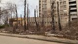 Невідомі зрубали берези на набережній Дніпра. Краще їм зізнатися і виправити це свинство, - Філатов. ФОТО