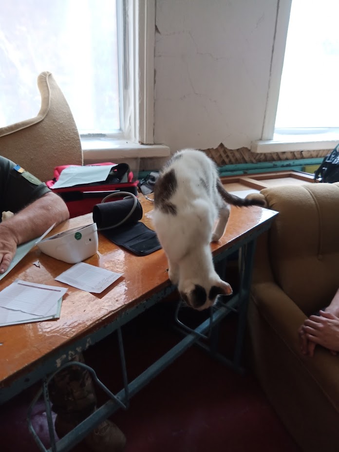 Психологиня Катерина Проноза: Війна не робить нас кращими чи гіршими, вона підсвічує наявне 03