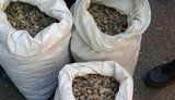 контрабанда госпогранслужба янтарь
