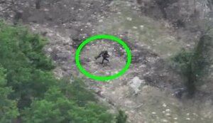 Occupier in wetsuit and flippers is running through forest, trying in vain to escape from kamikaze drone. VIDEO