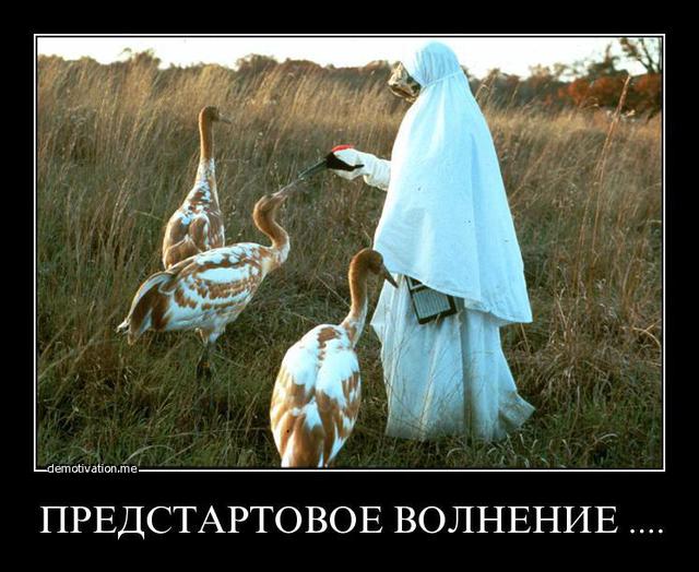 Цензор.НЕТ Изображение