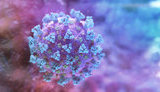 Ukraine reports 4,095 new coronavirus cases