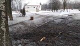 Оккупанты из минометов обстреляли Новолуганское. ФОТО