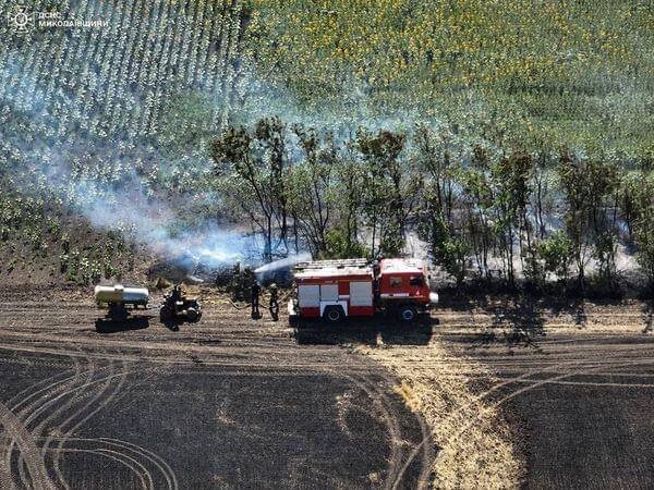 Пожежа на Миколаївщині знищила 30 га зернових