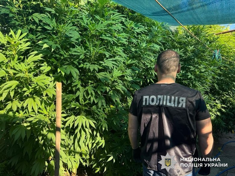 Тонна канабісу та вилучені майна на 350 млн грн: підсумки спецоперації