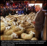 Бараны подорожали