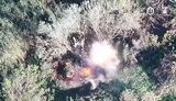 "Птахи Мадяра" знищують окупантів, які ховаються у посадці