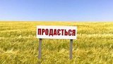 Як працюватиме ринок землі