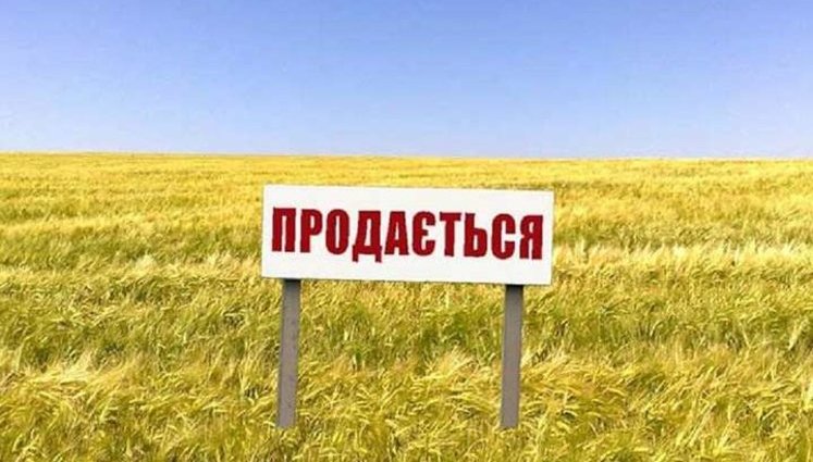 Как будет работать рынок земли