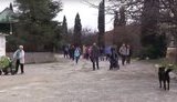 крым кацивели