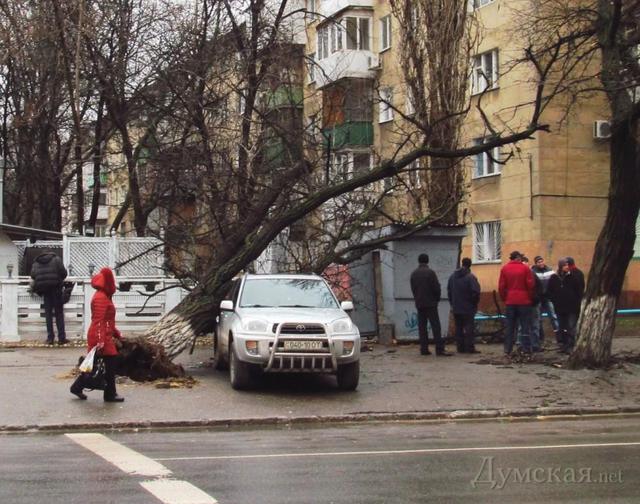 Цензор.НЕТ Изображение