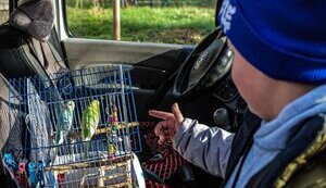 евакуація