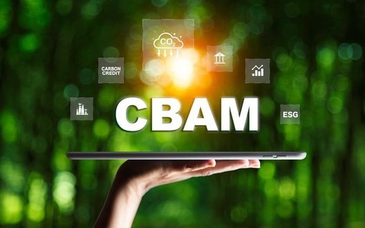 Європейське екомито CBAM ‒ дискримінаційний інструмент проти країн з низькими доходами, ‒ дослідження. ІНФОГРАФІКА