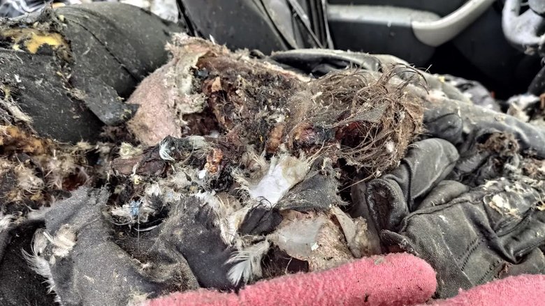 Різня в Бучі: машину прошило кулями, ніби вона паперова, жінці відірвало голову 09