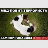 Борьба с терроризмом