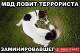 Борьба с терроризмом