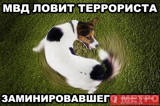 Борьба с терроризмом