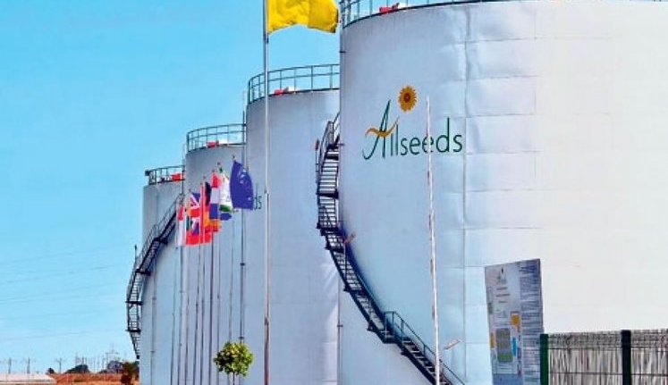 Allseeds начала 2019 год с рекордной погрузки масла. PROMOTED