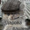 Владимир Толстиков #376380