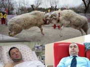 Бес попутал?