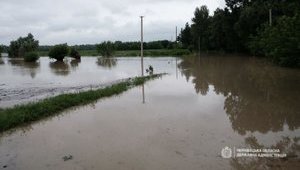 11 населених пунктів на Західній Україні знеструмлені через негоду, - ДСНС