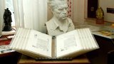 Янукович забыл о Довженко, или Кинопремия в жанре абсурда