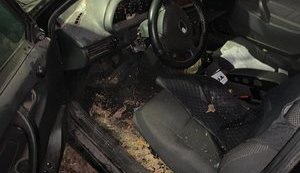 Изуродование автомобиля правозащитницы в Лисичанске: Ястребова связывает нападение со своей работой по "смотрящим в угольной мафии"