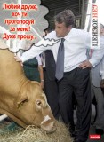 Встречи с электоратом