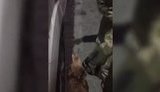 Два магазини з патронами виявили в Одесі прикордонники під час огляду автомобіля, який прибув у контейнері зі США. ВIДЕО