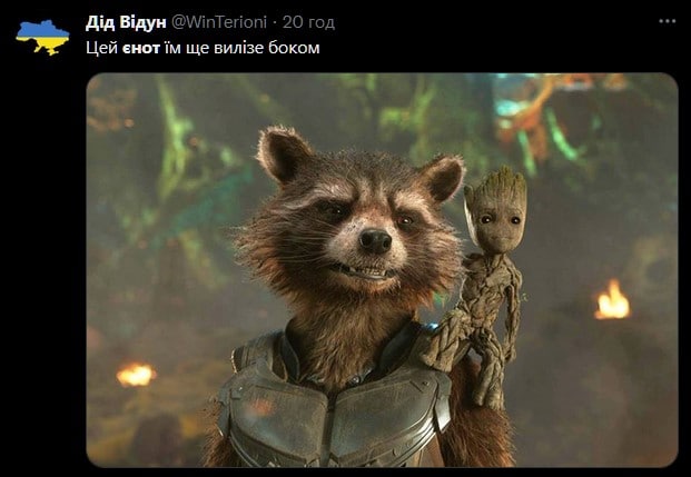 Убегая из Херсона оккупанты украли енота. Сеть взорвалась мемами 07