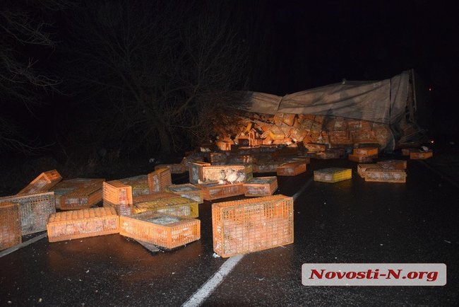 Фура с тысячами кур перевернулась под Николаевом: грузовик заблокировал обе полосы, а часть птиц разбежалась в разные стороны 03