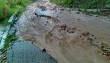 Повалені дерева, відсутня електрика, - Чернівці накрив ураган. ВІДЕО+ФОТОрепортаж
