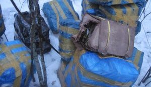 Прикордонники на Сумщині виявили в лісі 200 кг контрабандної червоної ікри. ФОТОрепортаж