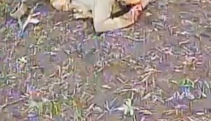 Штурм провалився: 82 ОДШБр знищила десяток окупантів і шість машин ворога. ВIДЕО