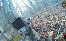 sof fighters destroying enemy position