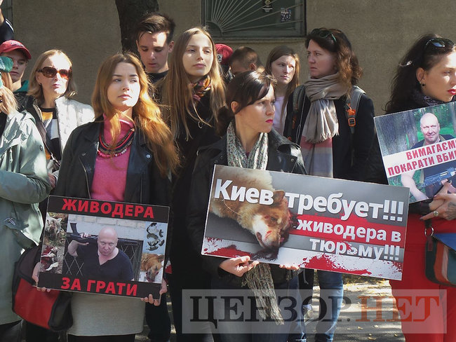 Україна без шкуродерів, - активісти пікетують Шевченківський райсуд Києва з вимогою притягнути до відповідальності догхантера Святогора 14