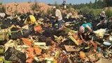 Путинские сталкеры