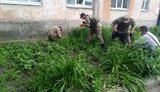 взрыв