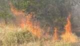 Російські обстріли Дніпропетровщини 26 серпня