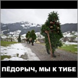 Мы идем к тебе!