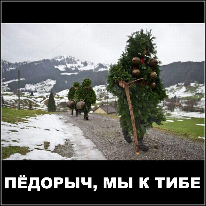 Мы идем к тебе!