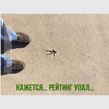 Реальный рейтинг