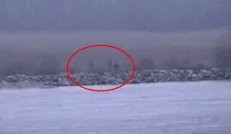 російські прикордонники перейшли кордон із естонією