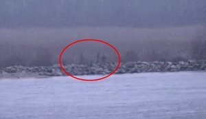 Трое российских пограничников "заблудились" и бродили по территории Эстонии. ВИДЕО