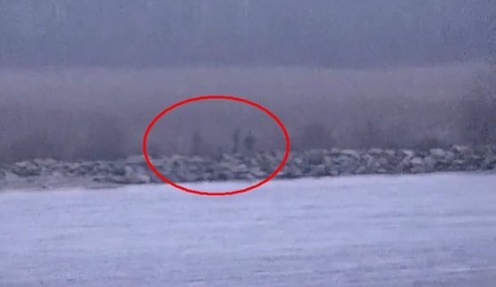 російські прикордонники перейшли кордон із естонією