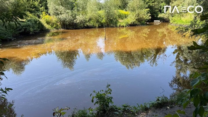Забруднення озера у Києві