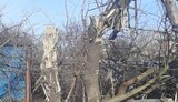 дніпропетровщина